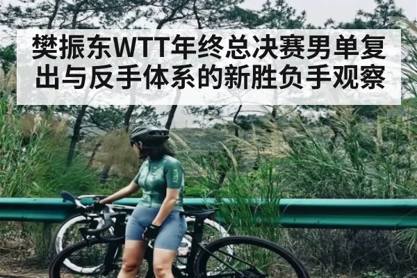 樊振东WTT年终总决赛男单复出与反手体系的新胜负手观察