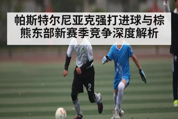 帕斯特尔尼亚克强打进球与棕熊东部新赛季竞争深度解析