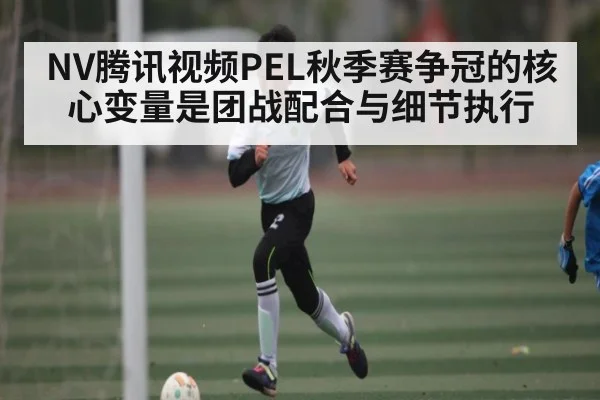 NV腾讯视频PEL秋季赛争冠的核心变量是团战配合与细节执行